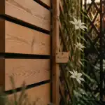 Cache mur extérieur : bardage bois sur mur enduit fissuré